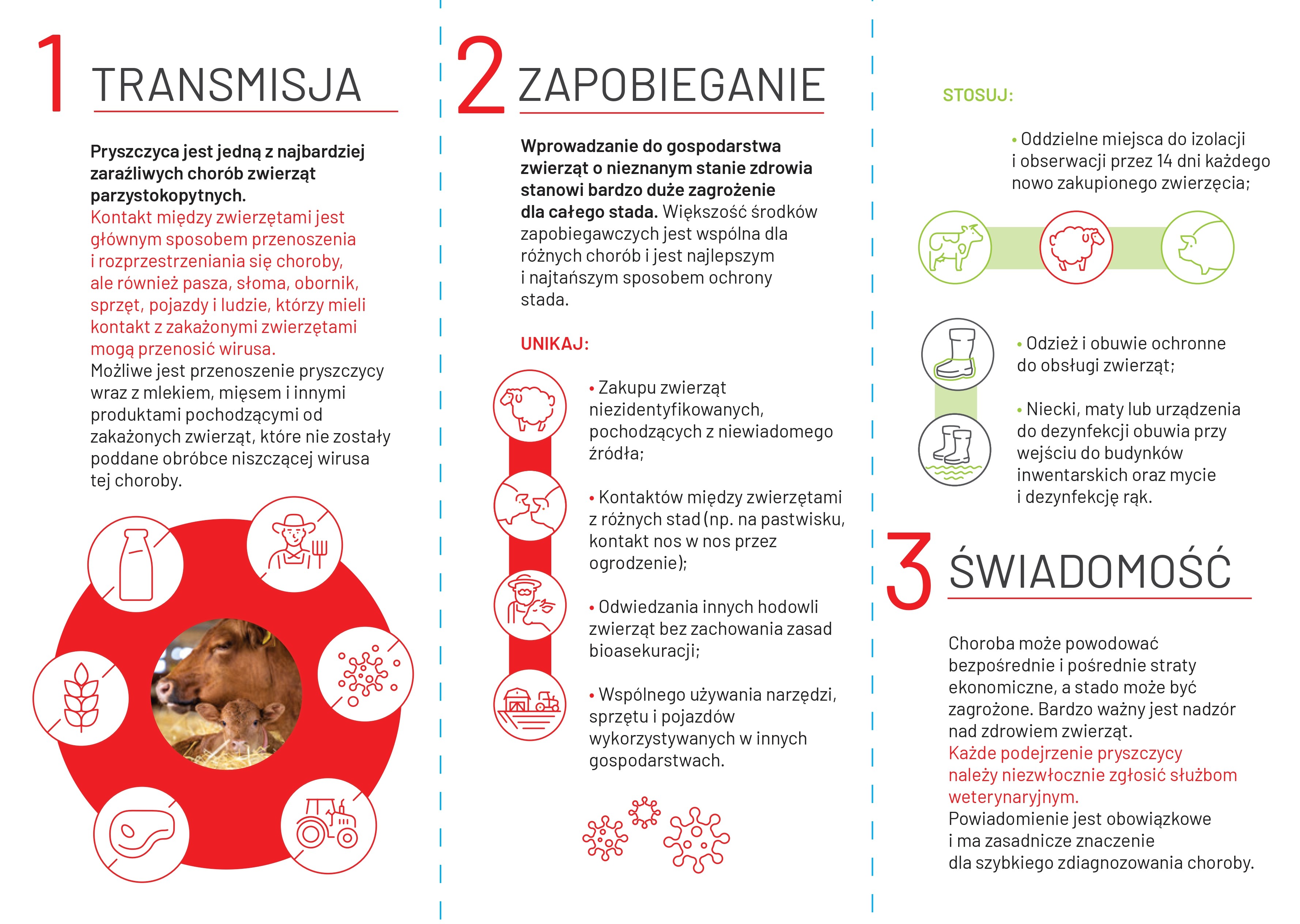 Trzy sekcje: transmisja, zapobieganie, świadomość. Ikony zwierząt, ludzi i sprzętu. Tekst o przenoszeniu pryszczycy, zasadach bioasekuracji, unikaniu zagrożeń i obowiązku zgłaszania choroby weterynarzowi.