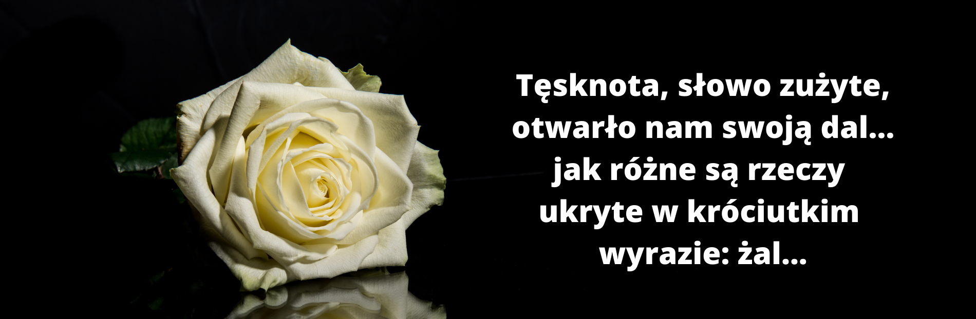 żałoba, pniówek,  górnicy, 