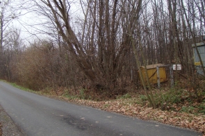dsc01849