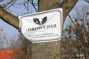 154955255-2540234156271136-1659324926016031887-n