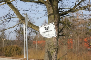 154765919-1716029565266170-8908635803672262898-n