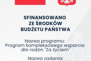 plakat-budzet-panstwa-420x2973-2-ai