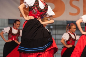 festiwal-slaskie-smaki10-fot