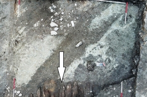 drewniane deski – pomosty lub podłogi kramów kupieckich?