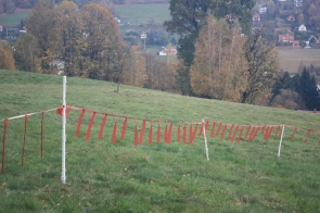 Zabezpieczenia przed drapieżnikami trafiają do hodowców 