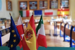 flagi-krajow-partnerskich