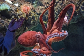 warsztaty w oceanarium