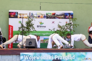 Wojewódzki Przegląd Wiejskich Zespołów Artystycznych w Brennej