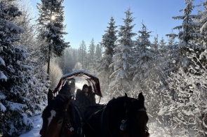 Podsumowanie projektu realizowanego w ramach międzynarodowego funduszu wyszehradzkiego  "INDEED FOR ALL CHILDREN II" 