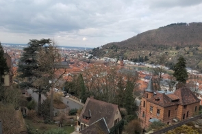 Panorama miasta z czerwonymi dachami, otoczona wzgórzami pokrytymi drzewami. W tle rzeka i zabytkowe budynki. Drzewa bez liści stoją na pierwszym planie, a niebo jest zachmurzone.
