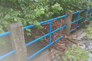 Zgromadzone gałęzie, konary i roślinność blokują przepływ wody pod barierką mostku. Zator tworzy się tuż przy poręczy, w bezpośrednim sąsiedztwie gęstej roślinności i nawierzchni chodnika.