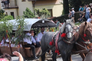 695f37e9-6591-4540-9491-e60ce5f92e50-1-105-c