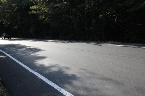 Gładka jezdnia biegnie wzdłuż gęstego lasu. Na ciemnym asfalcie widać białe linie.