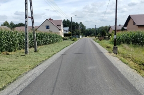 Wyasfaltowana droga biegnie między ogrodzeniami posesji z zielenią i krzewami. W tle widać domy jednorodzinne, a nad nimi niebo z białymi chmurami.