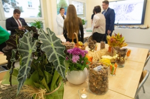 Nowa zielona pracownia w ZS im. W. Szybińskiego