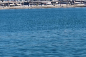 Na pierwszym planie widać spokojną, niebieską taflę wody. W tle znajduje się nabrzeże z palmami oraz niskimi budynkami. Nad całością rozciąga się bezchmurne, jasne niebo.