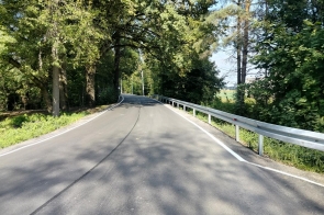 Asfaltowa droga otoczona drzewami z metalowymi barierkami ochronnymi po prawej stronie. Na jezdni widoczne jest oznakowanie liniowe, a w tle widać fragment zieleni i niebo.