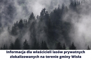 informacja-dla-wlascicieli-lasow-prywatnych-zlokalizowanych-na-terenie-gminy-wisla