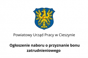 Ogłoszenie naboru o przyznanie bonu zatrudnieniowego - Portal Powiatu Cieszyńskiego