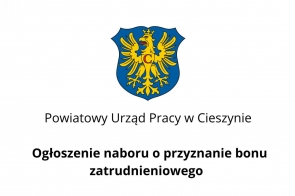 Ogłoszenie naboru o przyznanie bonu zatrudnieniowego - Portal Powiatu Cieszyńskiego
