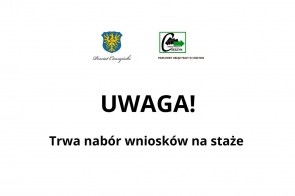 UWAGA! Trwa nabór wniosków na staże 