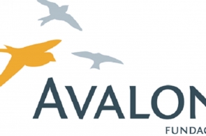 fundacja avalon