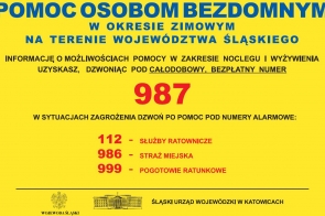Plakat z informacją o działaniu infolinii
