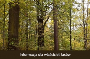 informacja-dla-wlascicieli-lasow