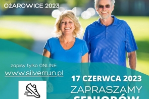 silver-baner