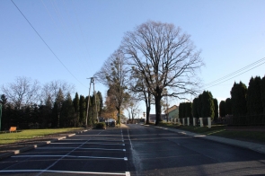 Ulica biegnie prosto w stronę dużych, bezlistnych drzew, po lewej stronie mijając rząd pustych miejsc parkingowych i skwer z ławką, a po prawej ciąg wysokich tuj za ogrodzeniem. W tle widoczne są pojedyncze domy.