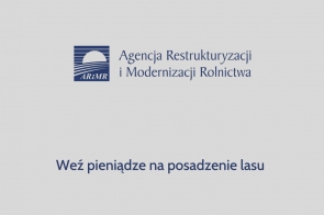 wez-pieniadze-na-posadzenie-lasu