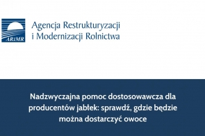Nadzwyczajna pomoc dostosowawcza dla producentów jabłek: sprawdź, gdzie będzie można dostarczyć owoce