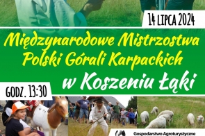 XVIII Międzynarodowe Mistrzostwa Polski Górali Karpackich w Koszeniu Łąki - plakat
