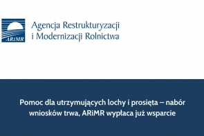 Pomoc dla utrzymujących lochy i prosięta – nabór wniosków trwa, ARiMR wypłaca już wsparcie