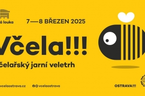 vcela