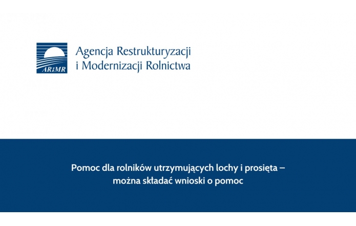 Pomoc dla rolników utrzymujących lochy i prosięta – można składać wnioski o pomoc