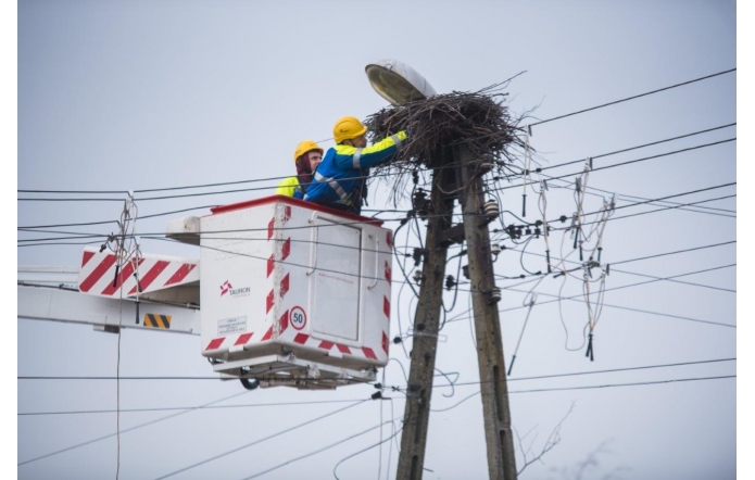 Zimowa opieka nad bocianimi gniazdami