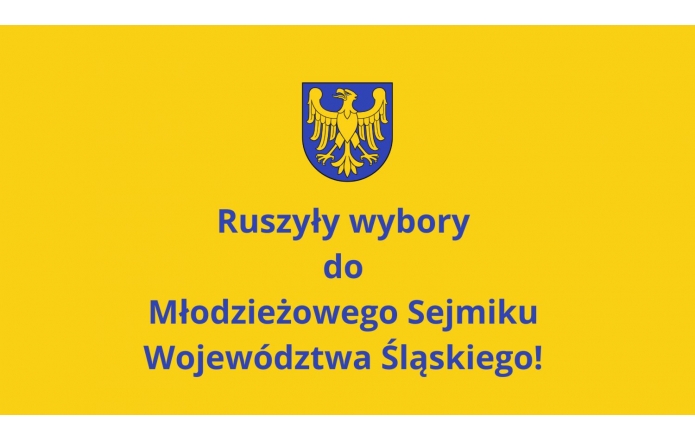 Ruszyły wybory do Młodzieżowego Sejmiku Województwa Śląskiego!  - zdjęcie wyróżniające