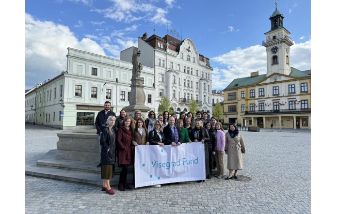 Podsumowanie projektu realizowanego w ramach międzynarodowego funduszu wyszehradzkiego  "INDEED FOR ALL CHILDREN II" 
