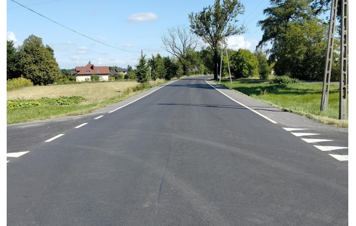 Wyasfaltowana droga biegnie między ogrodzeniami posesji z zielenią i krzewami. W tle widać domy jednorodzinne, a nad nimi niebo z białymi chmurami.