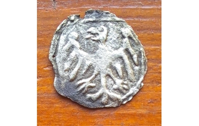 Halerz, księstwo głogowskie (z okresu kiedy wchodziło w skład księstwa cieszyńskiego), 1460-1480, rewers. 