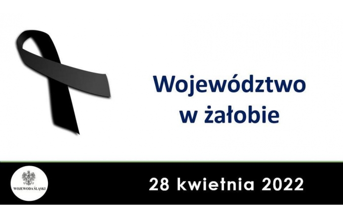 278580931-360606182758837-4994323103159773836-n