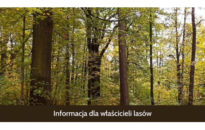 informacja-dla-wlascicieli-lasow