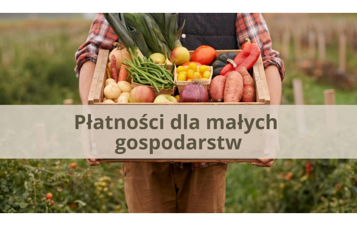 ryczalt-dla-malych-gospodarstw7kolor1a-poprawki4abcd-002
