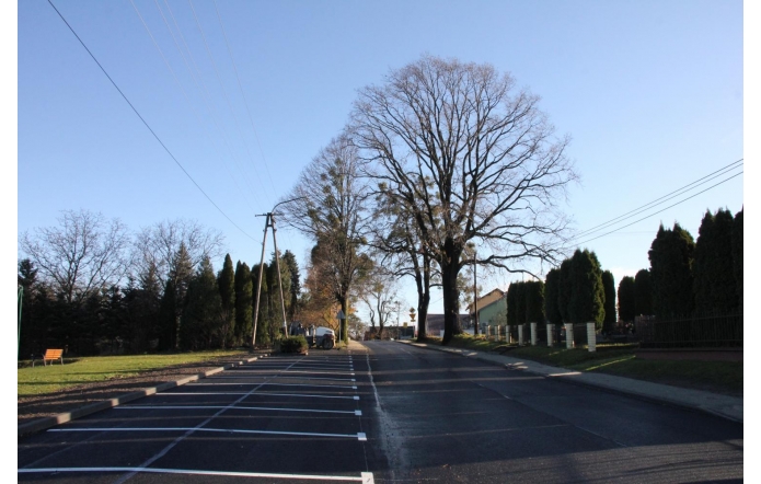 Ulica biegnie prosto w stronę dużych, bezlistnych drzew, po lewej stronie mijając rząd pustych miejsc parkingowych i skwer z ławką, a po prawej ciąg wysokich tuj za ogrodzeniem. W tle widoczne są pojedyncze domy.
