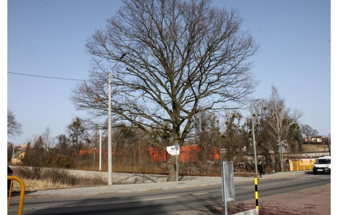 154939709-1127604911047161-6392257706013258644-n