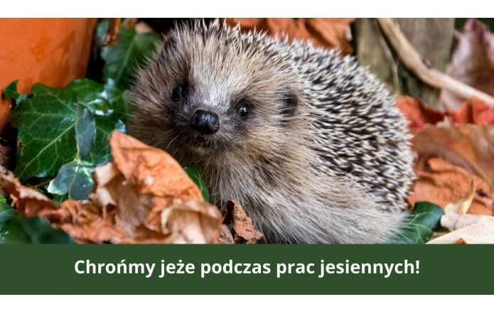 chronmy-jeze-podczas-prac-jesiennych