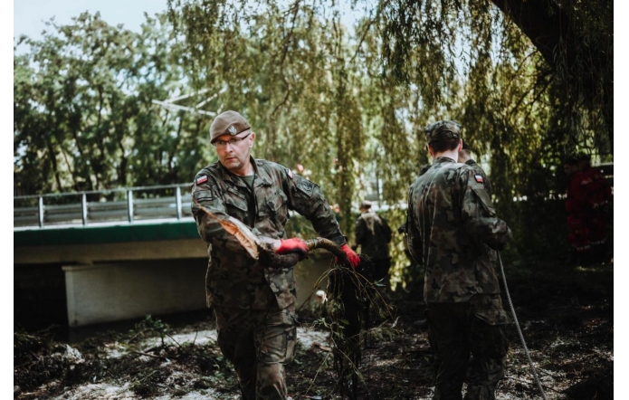 Dwóch żołnierzy w polskich mundurach pracuje w terenie zalesionym. Jeden z nich niesie duży konar z korzeniami, drugi trzyma linę. Obaj mają czerwone rękawice. W tle widoczny jest most, drzewa i inni żołnierze.