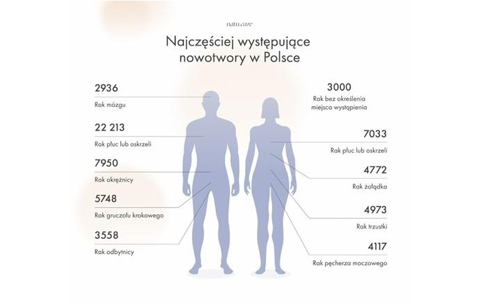 Infografika -Najczęściej występujące nowotwory w Polsce
