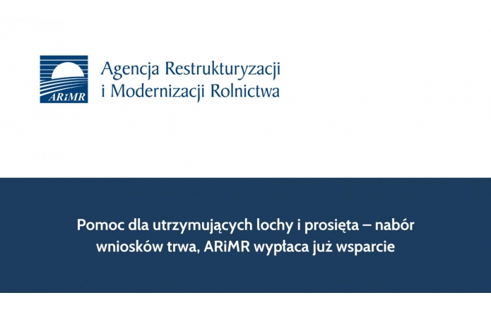 Pomoc dla utrzymujących lochy i prosięta – nabór wniosków trwa, ARiMR wypłaca już wsparcie